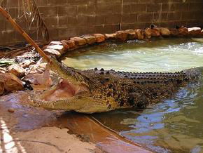 Pippingarra WA SA Accommodation