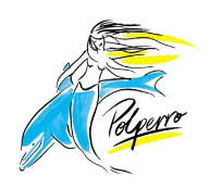 Polperro Dolphin Swims - SA Accommodation 0