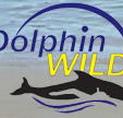 Dolphin Wild - SA Accommodation