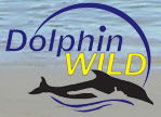 Dolphin Wild - SA Accommodation 0