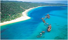 Dolphin Wild - SA Accommodation 3