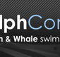 Dolphcom - Dolphin  Whale Swimming Adventures - SA Accommodation