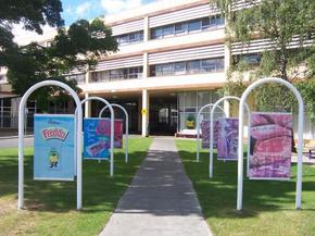 Cadbury Chocolate Factory Tour - SA Accommodation 2