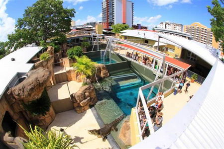 Crocosaurus Cove - SA Accommodation 1