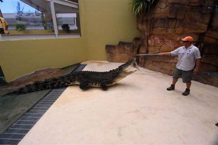 Crocosaurus Cove - SA Accommodation 2