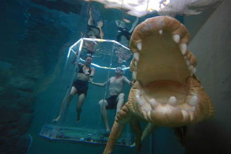 Crocosaurus Cove - SA Accommodation 3