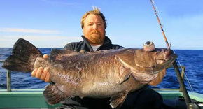 Bravo Fishing Charters - SA Accommodation 0