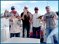 Odyssey Charters - SA Accommodation 2