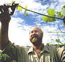 Barossa Experience Tours - SA Accommodation