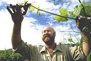 Barossa Experience Tours - SA Accommodation 0