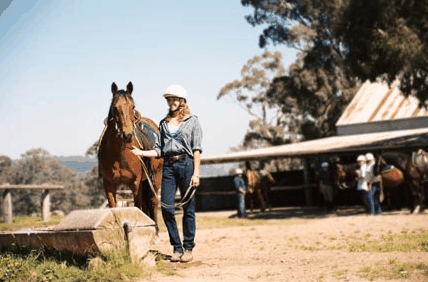 Watsons Trail Rides - SA Accommodation 0