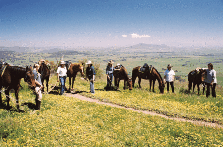 Watsons Trail Rides - SA Accommodation 1