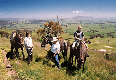 Watsons Trail Rides - SA Accommodation 2