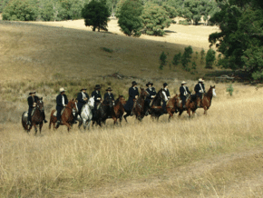 McCormacks Mountain Valley Trail Rides - SA Accommodation 0