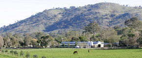 Blue Gum Farm - SA Accommodation 1