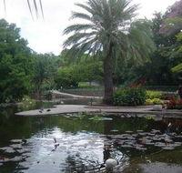 Brisbane City Botanic Gardens - SA Accommodation