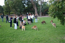 Caversham Wildlife Park - SA Accommodation 2
