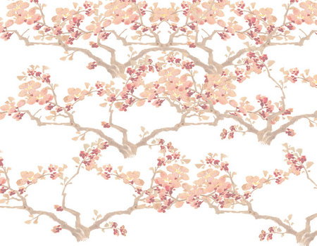 Zen Day Spa - SA Accommodation 3