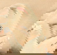 The Golden Door Spa  Health Club at Mirage Resort - SA Accommodation