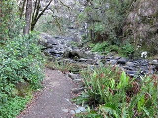 Stevensons Falls - SA Accommodation 1