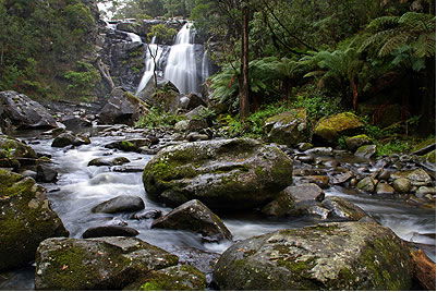 Stevensons Falls - SA Accommodation 2