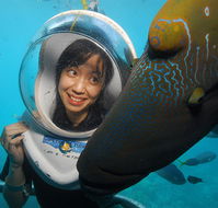 Sunlover Reef Cruises - SA Accommodation