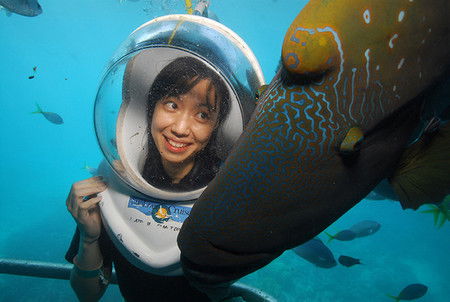 Sunlover Reef Cruises - SA Accommodation 0