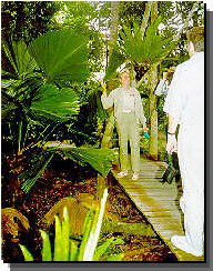 Daintree Rainforest River Trains - SA Accommodation 1