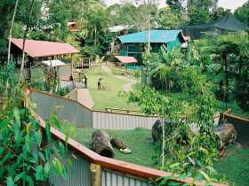 Kuranda Koala Gardens - SA Accommodation 1