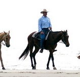 Ride the Beach - SA Accommodation