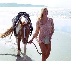 Ride The Beach - SA Accommodation 3