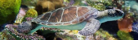 Melbourne Aquarium - SA Accommodation 1