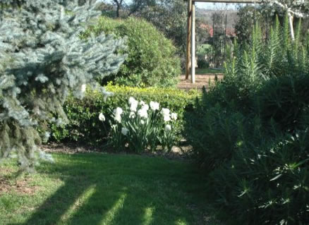 The Old Cheese Factory - SA Accommodation 2