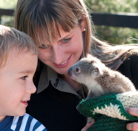 Australian Reptile Park - SA Accommodation 1