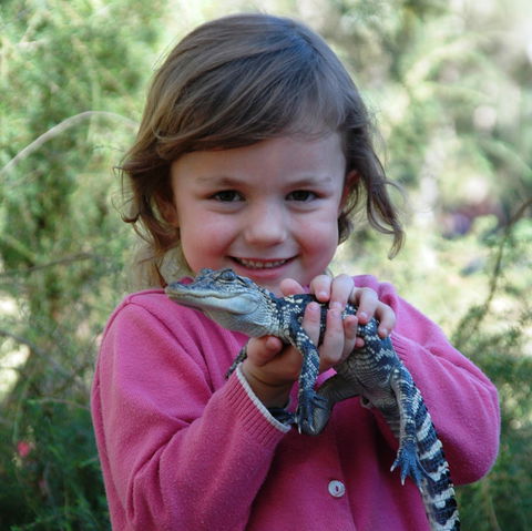 Australian Reptile Park - SA Accommodation 2