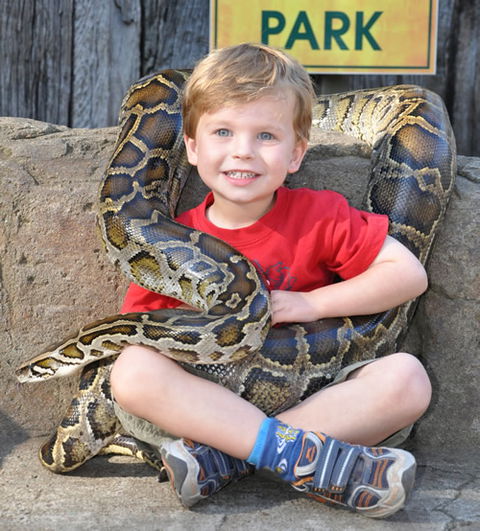 Australian Reptile Park - SA Accommodation 3