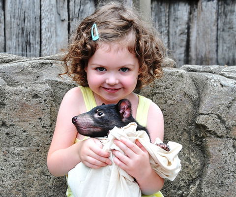 Australian Reptile Park - SA Accommodation 8
