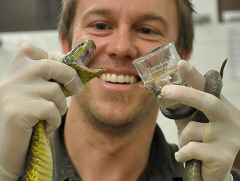 Australian Reptile Park - SA Accommodation 9