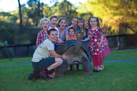 Australian Reptile Park - SA Accommodation 11