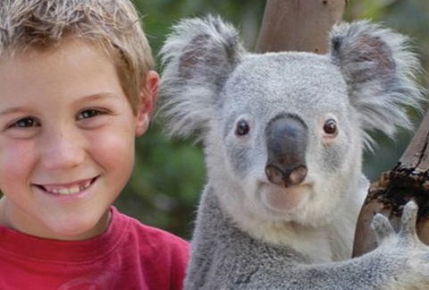 Featherdale Wildlife Park - SA Accommodation 1