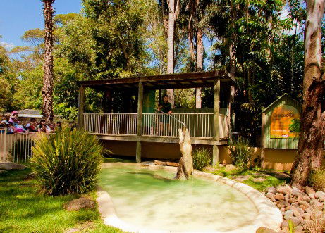 Featherdale Wildlife Park - SA Accommodation 2