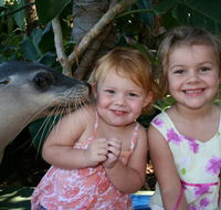 Dolphin Marine Magic - SA Accommodation