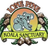 Lone Pine Koala Sanctuary - SA Accommodation