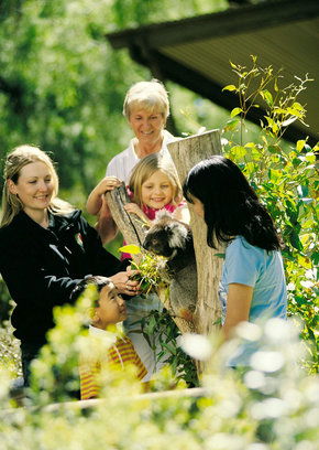 Cleland Wildlife Park - SA Accommodation 5