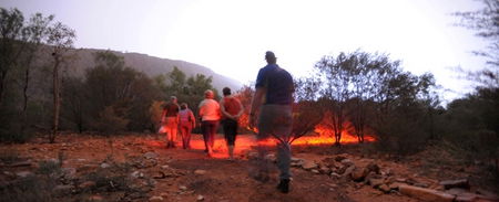Alice Springs Desert Park - SA Accommodation 4