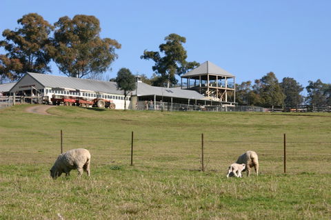 Calmsley Hill City Farm - SA Accommodation 3