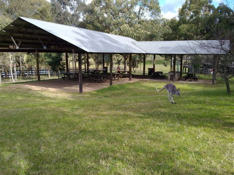 Calmsley Hill City Farm - SA Accommodation 5