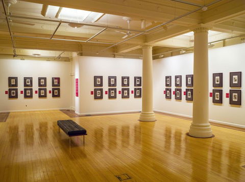 Cairns Regional Gallery - SA Accommodation 2