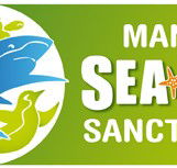 Manly SEA LIFE Sanctuary - SA Accommodation