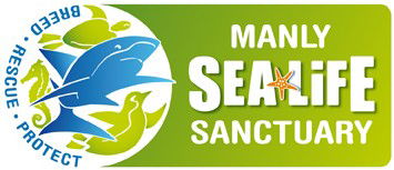 Manly SEA LIFE Sanctuary - SA Accommodation 0